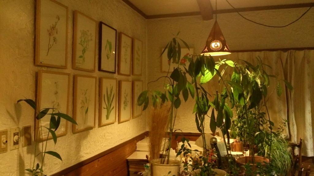 Gallery & Lodge Noichigo Hakuba Exterior foto